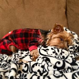 Meet your Posher, Robin